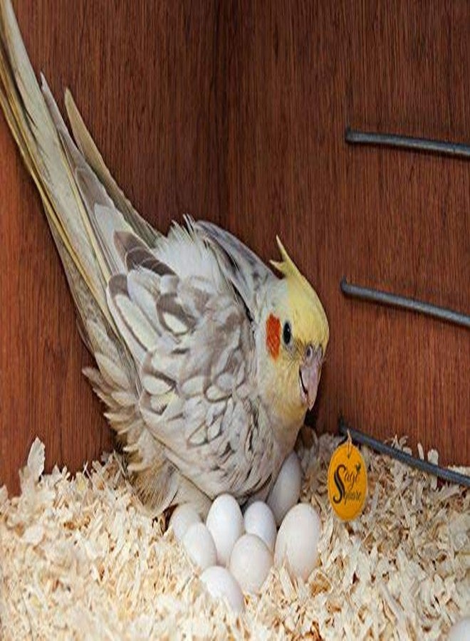 Sage Square Spewcial Combo of Natural Wood Mountable Bird Nest Breeding Box with Perch (Design for Small Birds) with Nesting Material (80grm) - Image 2